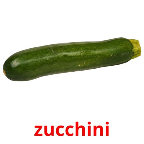 zucchini flashcards practice set.